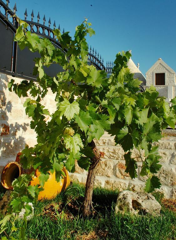 לינה וארוחת בוקר לוקורוטונדו Trulli Isago מראה חיצוני תמונה